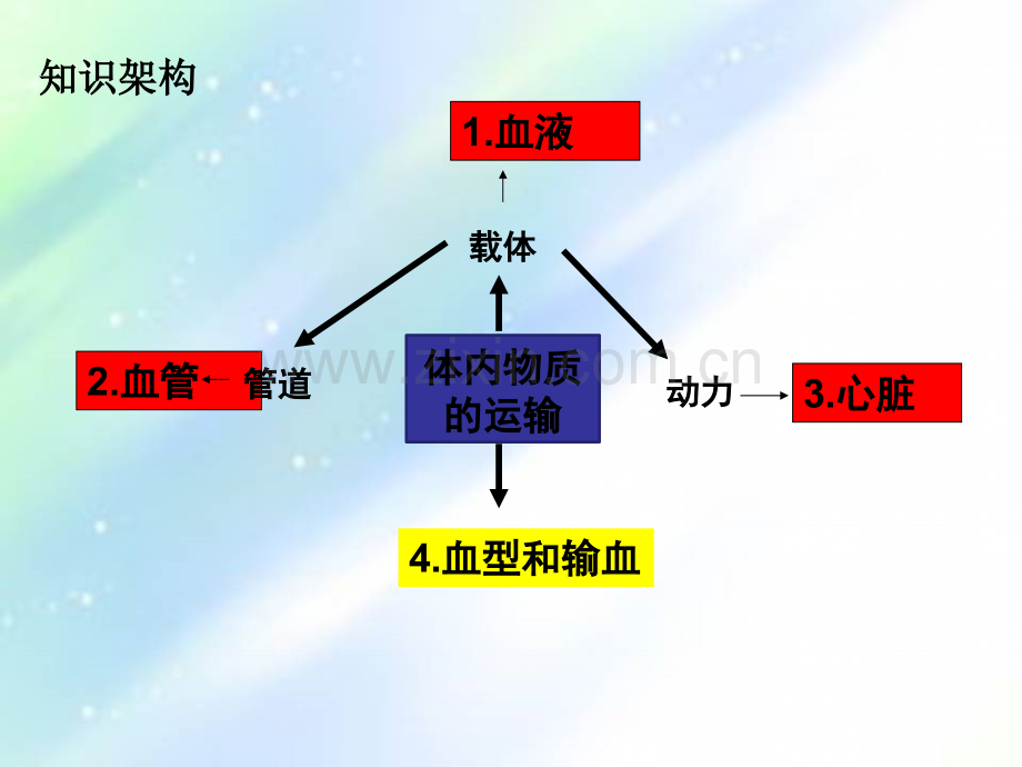 人体内物质的运输课件-PPT.ppt_第2页