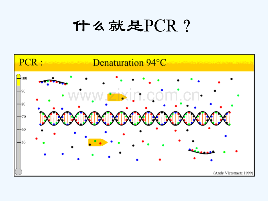 检测原理和问题处理.pptx_第3页