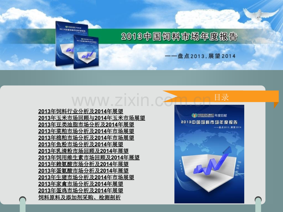 中国饲料市场年度报告.ppt_第2页