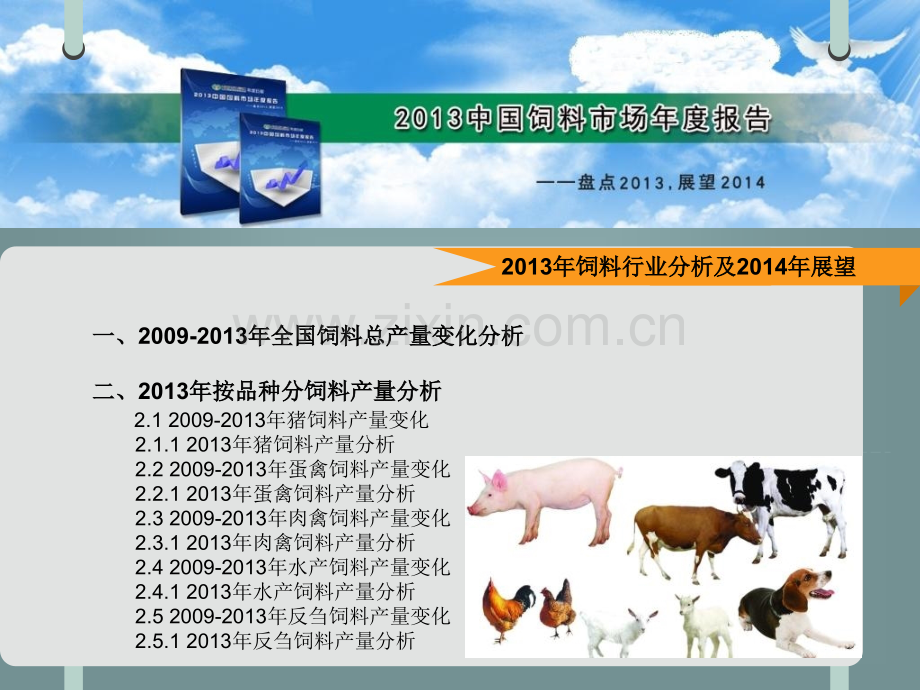中国饲料市场年度报告.ppt_第3页