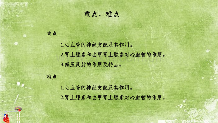 心血管活动的调节ppt.ppt_第2页