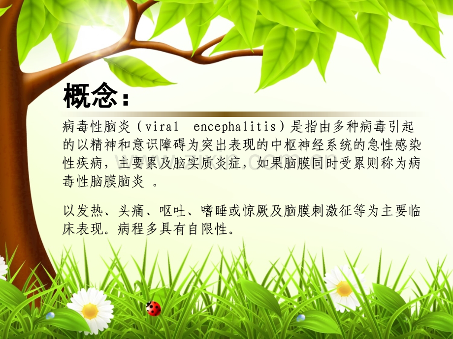 脑炎的护理措施-PPT.ppt_第3页