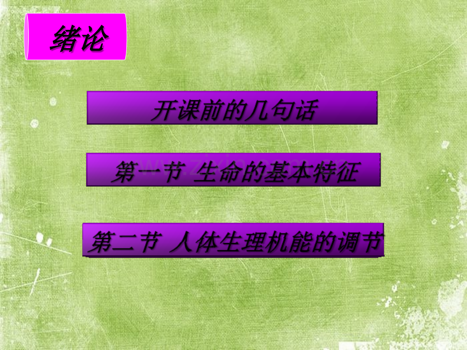 运动生理学课件ppt.ppt_第2页