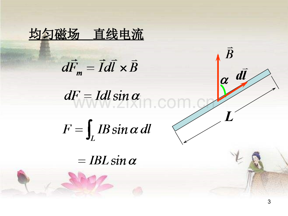 大学物理之载流导线在磁场中所受的力-PPT.ppt_第3页