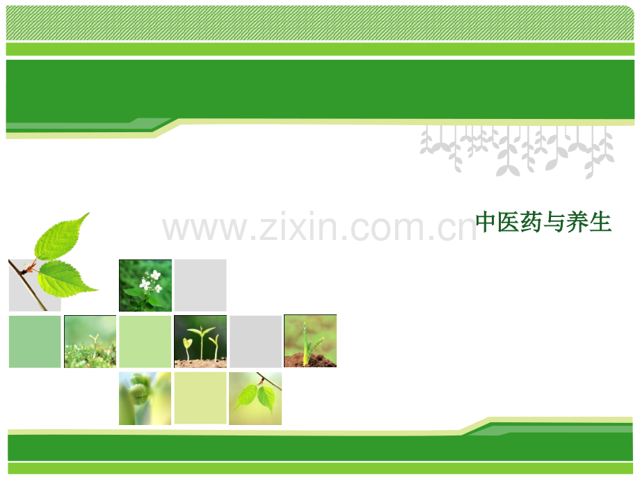 中医药与养生-PPT.pptx_第1页