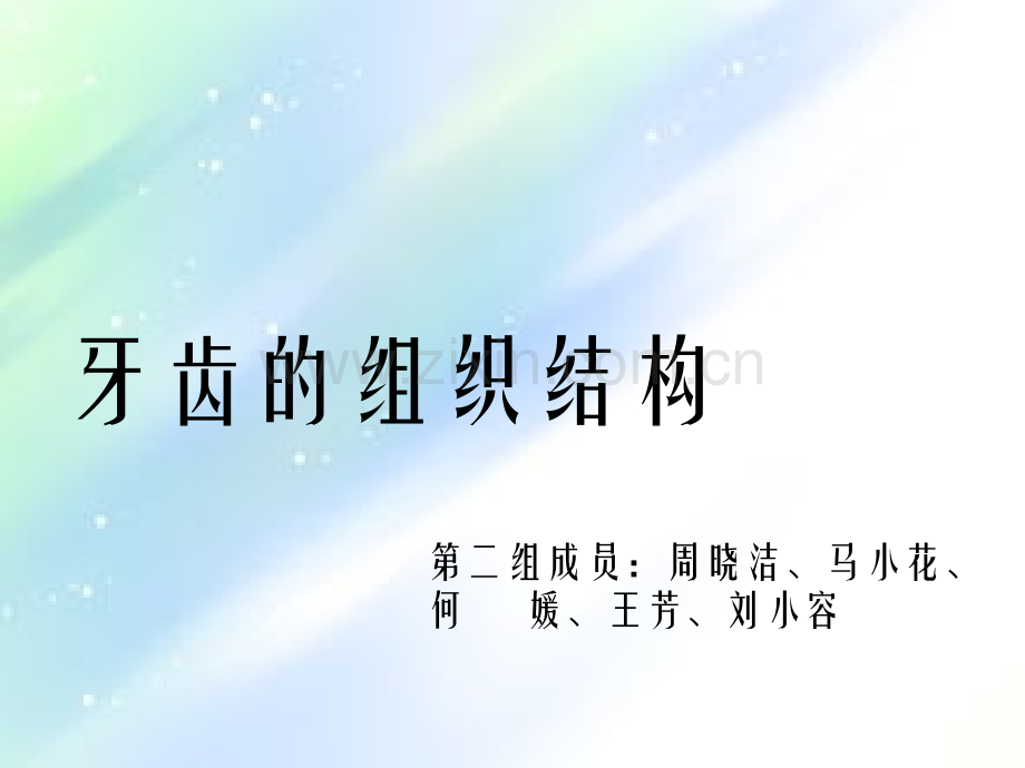 牙齿的组织结构ppt.ppt_第1页