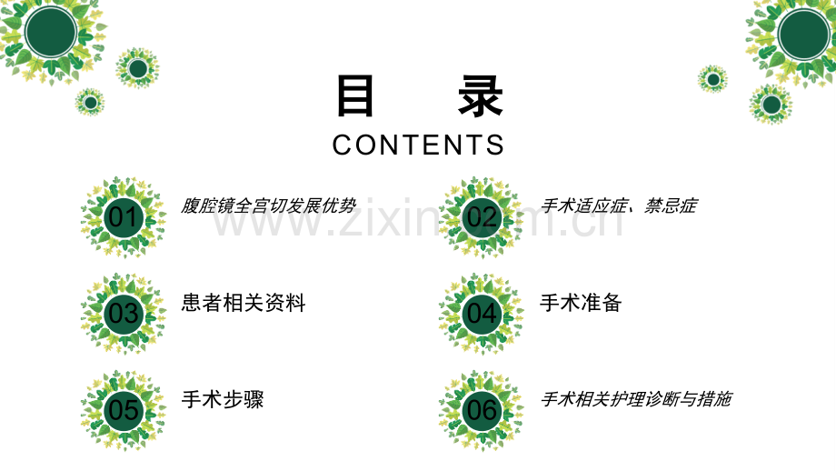 腹腔镜下全宫切--护理查房-PPT.ppt_第2页