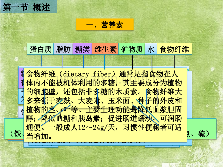 营养与护理ppt.ppt_第3页