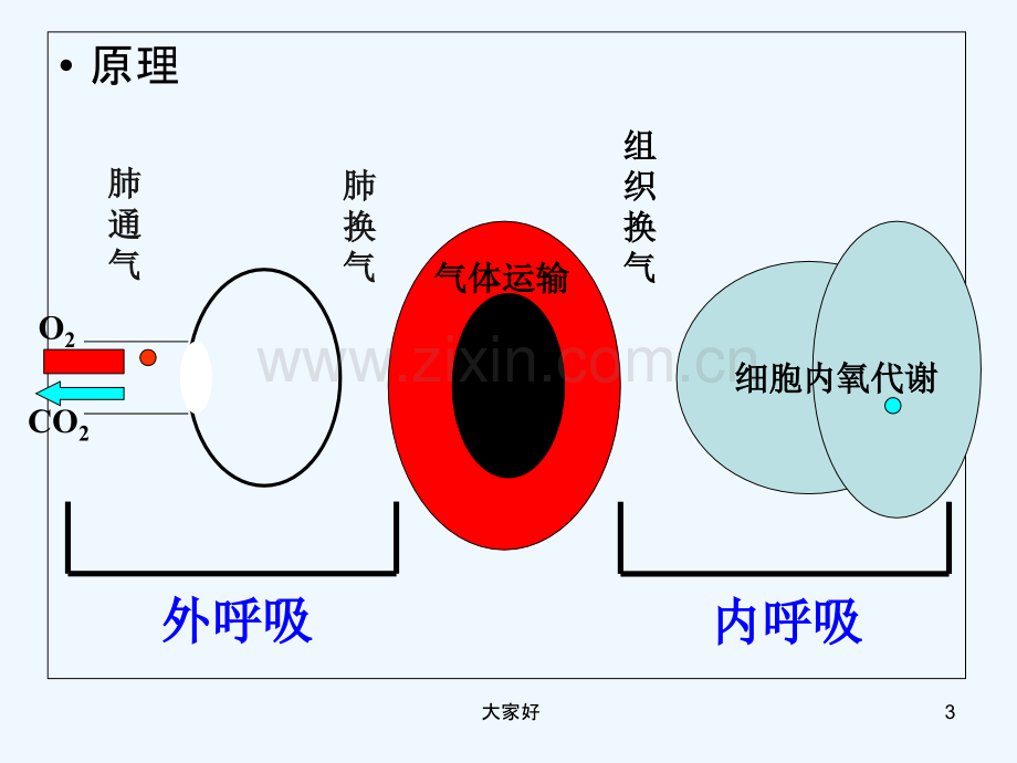 呼吸困难的护理-PPT.ppt_第3页