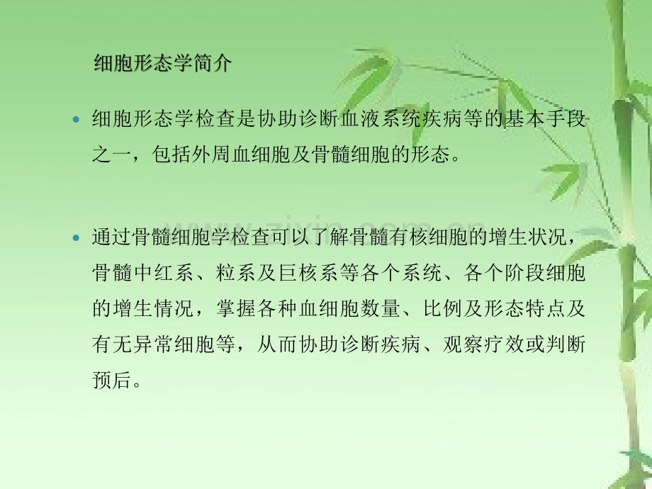 细胞形态学对于临床诊断的意义ppt.ppt_第2页