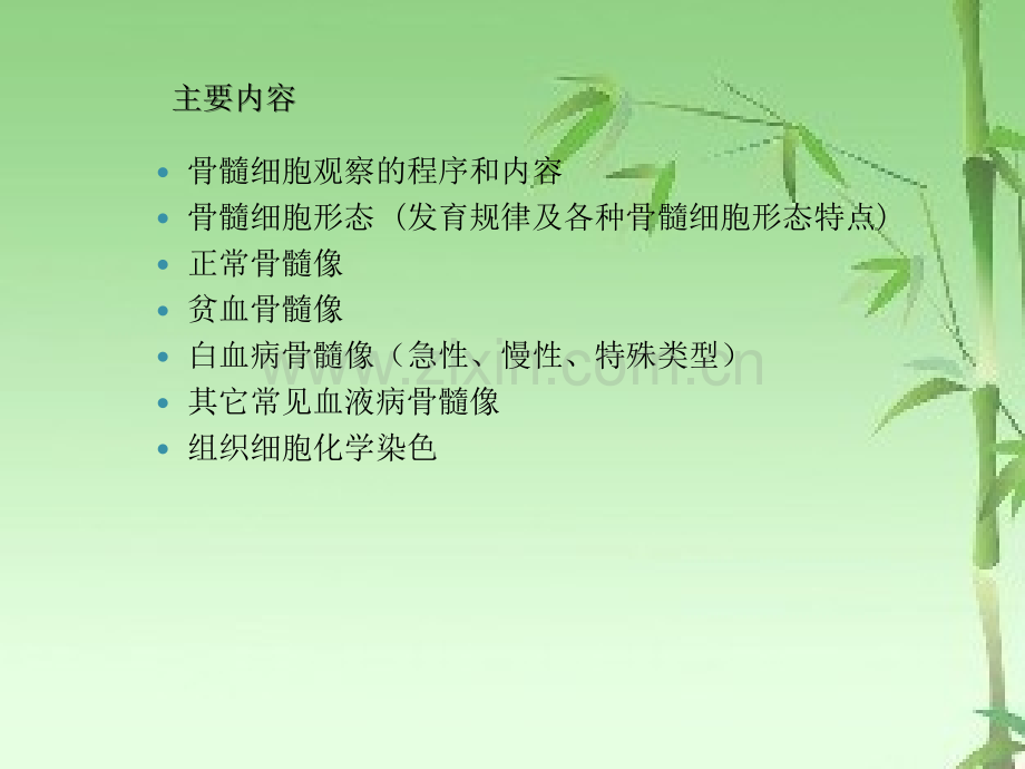 细胞形态学对于临床诊断的意义ppt.ppt_第3页