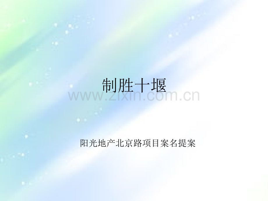 新项目案名提案ppt.ppt_第1页