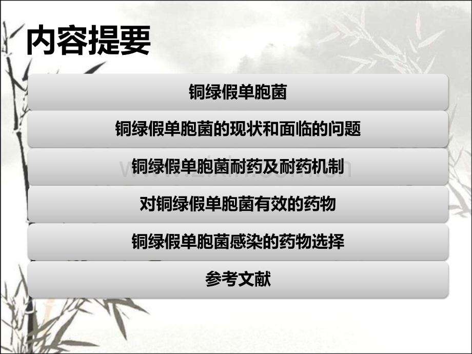 铜绿假单胞菌的治疗药物选择-PPT.ppt_第2页