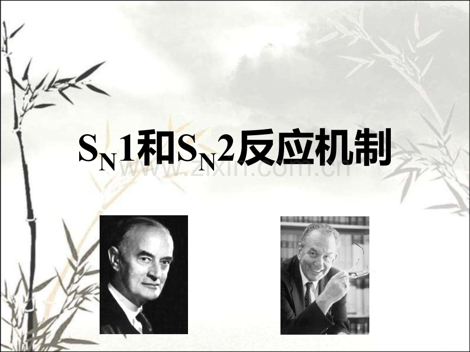 SN1和SN2反应机制ppt.ppt_第1页