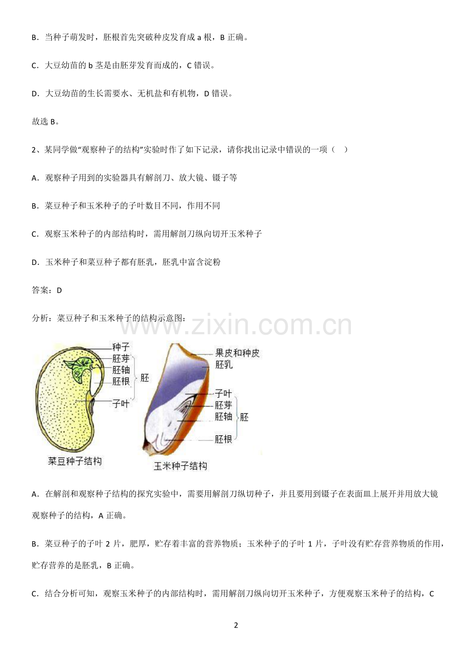 人教版2023初中生物七年级上册第三单元生物圈中的绿色植物专项训练.pdf_第2页