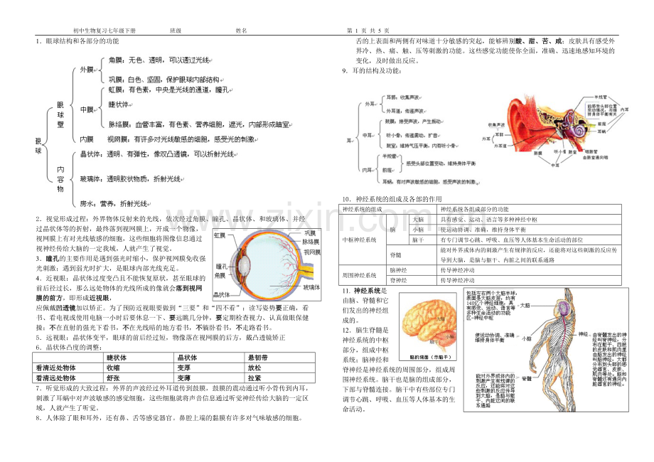 初中生物复习七年级下册知识点总结.pdf_第1页