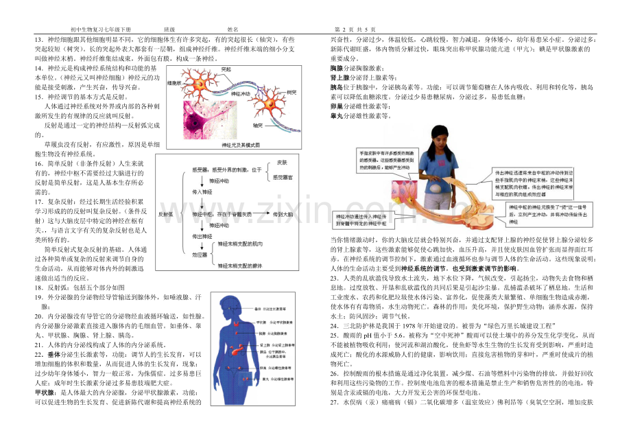 初中生物复习七年级下册知识点总结.pdf_第2页