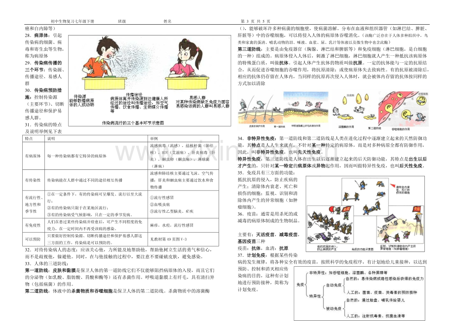 初中生物复习七年级下册知识点总结.pdf_第3页