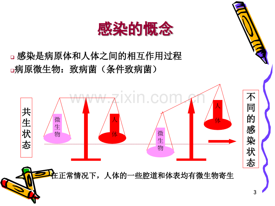 感染性疾病的分子诊断-PPT.ppt_第3页