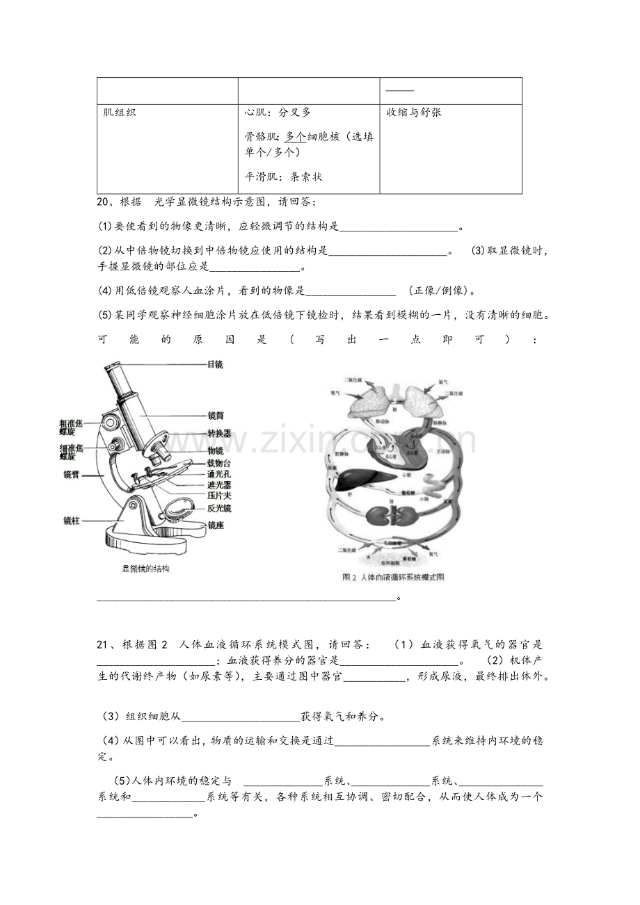 沪教版八年级生命科学试卷(答案).doc_第3页