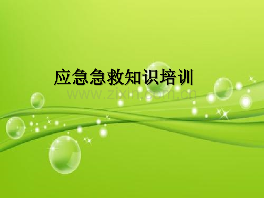 应急急救知识培训-PPT.ppt_第2页