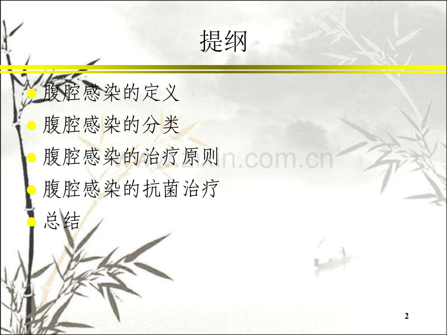 腹腔感染的治疗ppt.ppt_第2页