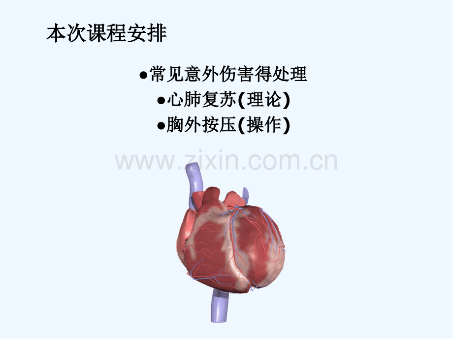 小学生急救技能培训-PPT.pptx_第2页