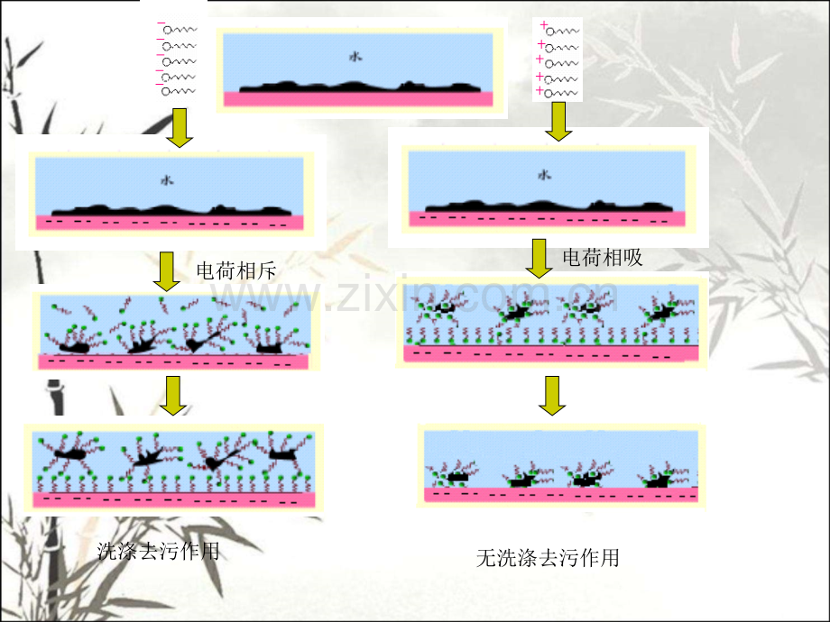 第二章阳离子表面活性剂.pptx_第3页