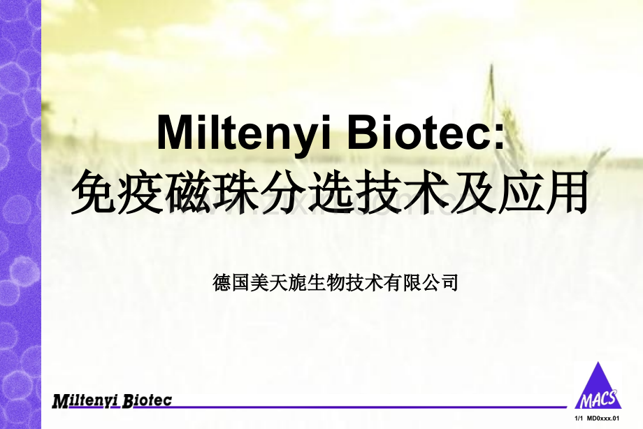 磁珠分选原理及应用ppt.ppt_第1页