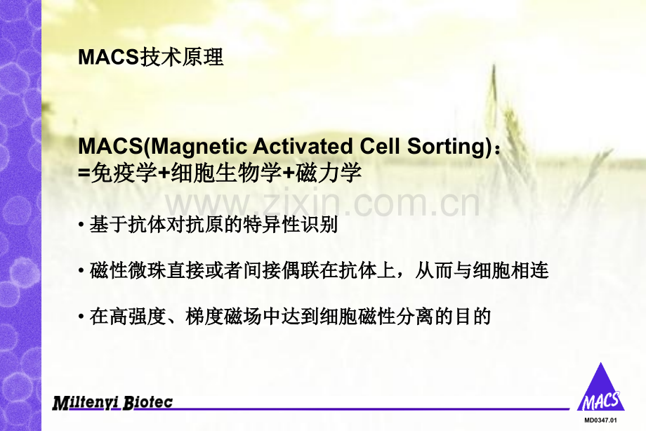 磁珠分选原理及应用ppt.ppt_第3页