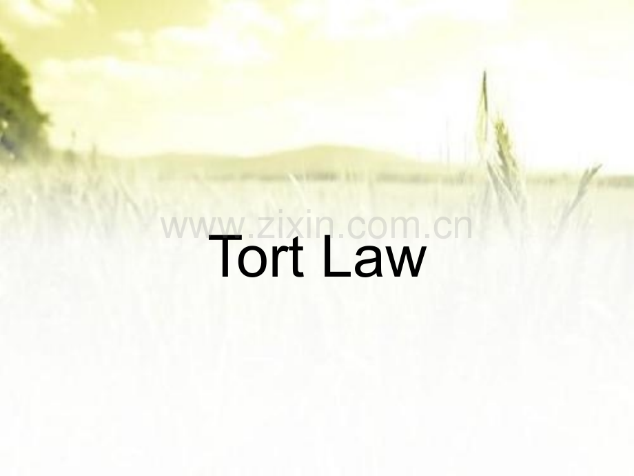 法律英语专题：侵权法(tortlaw)ppt.ppt_第1页