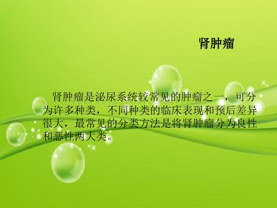 肾部分切除术后的护理-PPT.ppt_第3页