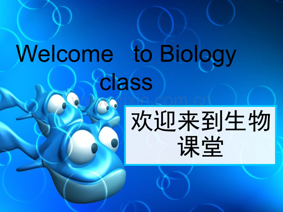 人教版七年级生物学-第一单元第一章-认识生物-PPT.ppt_第2页