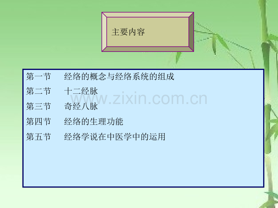 中医基础理论-经络ppt.ppt_第2页