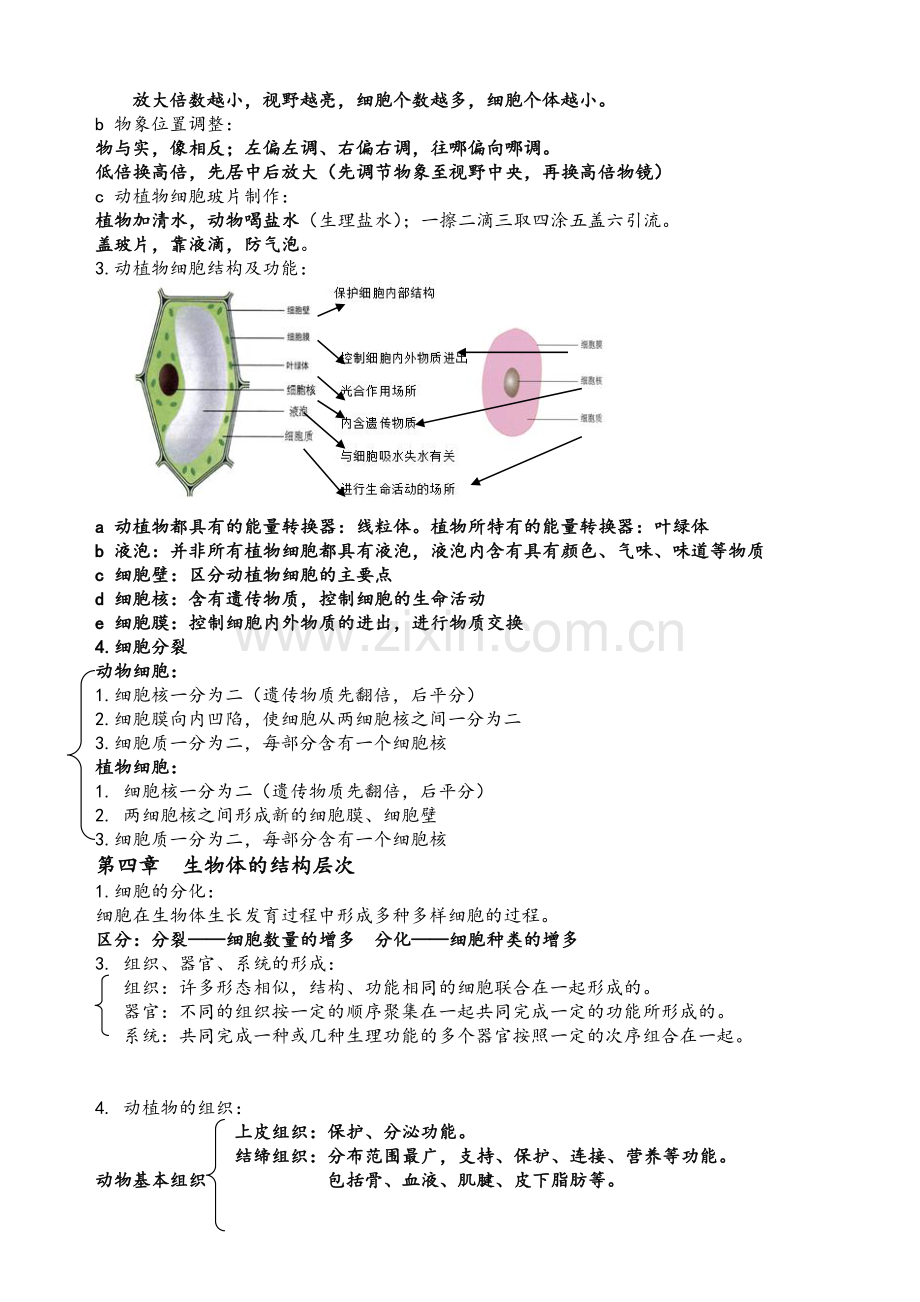 北师大版七年级生物上册知识点清单.doc_第2页