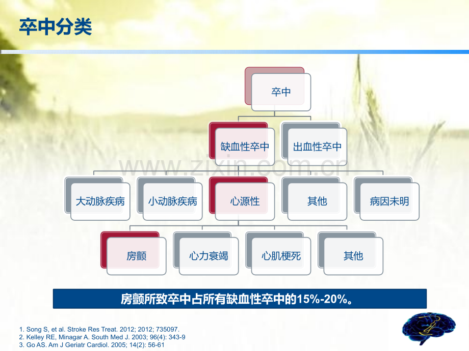 房颤卒中二级预防-PPT.pptx_第3页