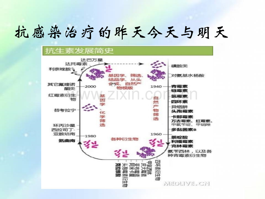 抗生素的经验性治疗ppt.ppt_第2页