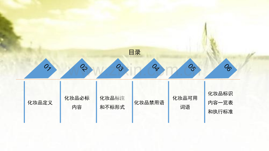 化妆品法律法规培训ppt.ppt_第2页