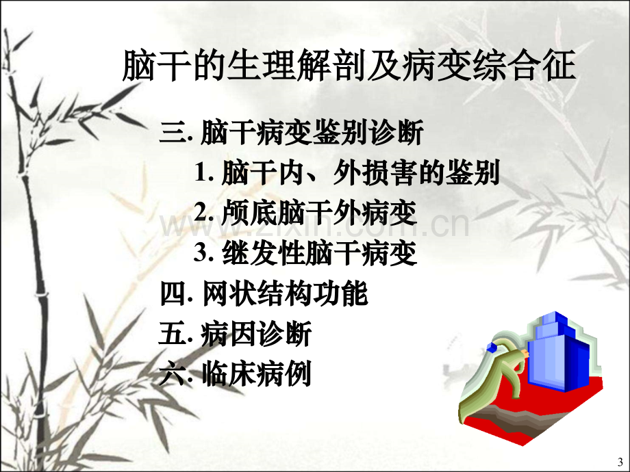 脑干系统定位诊断PPT.ppt_第3页