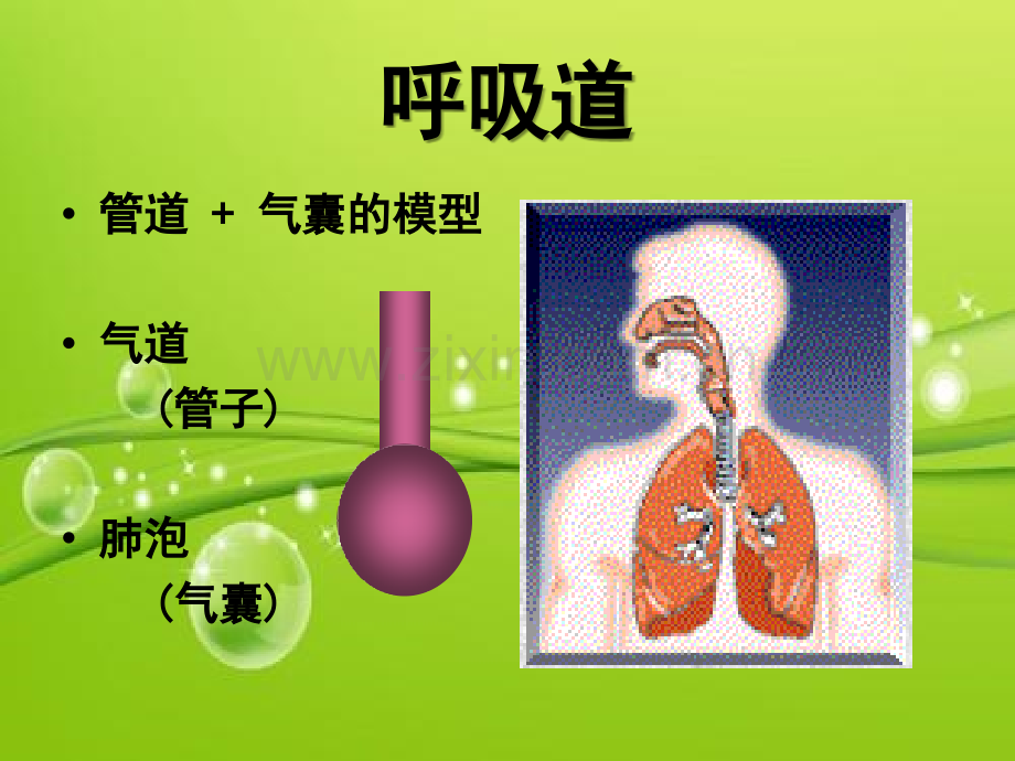 呼吸力学的监测-PPT.ppt_第3页