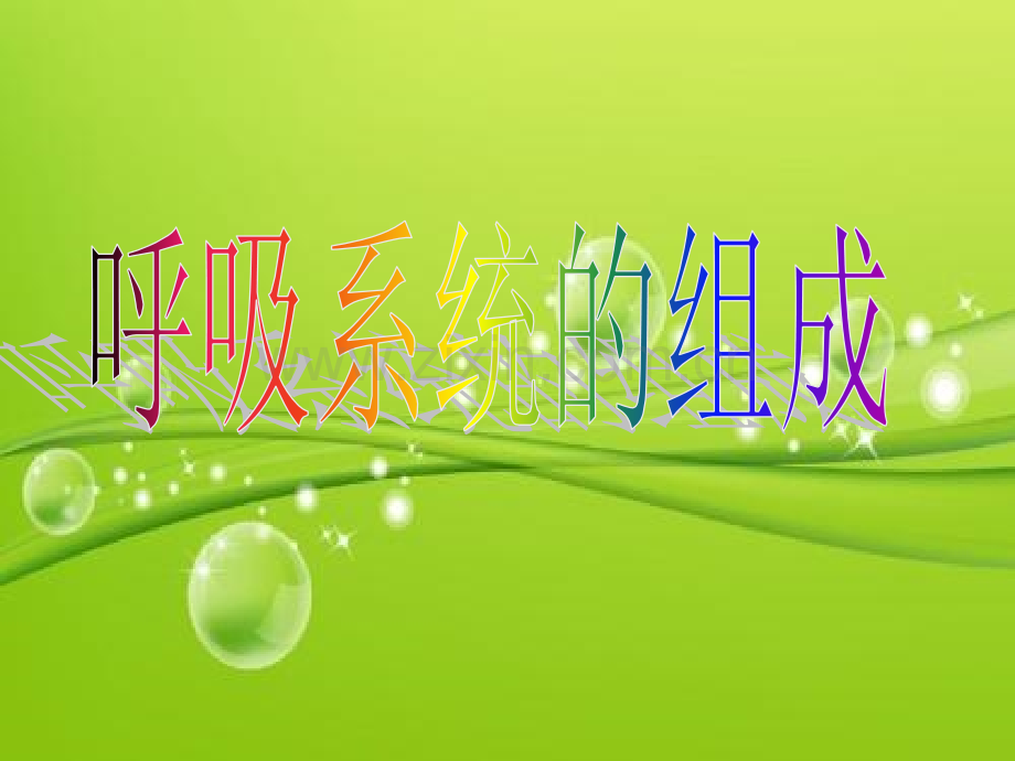 呼吸系统的组成-PPT.ppt_第2页