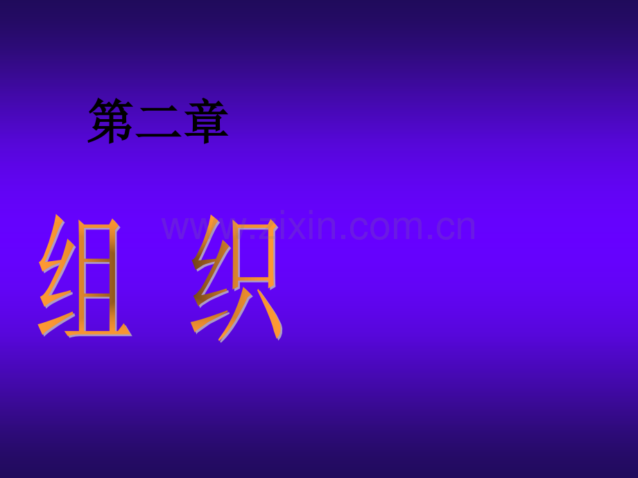 管理学之组织能力-PPT.ppt_第1页