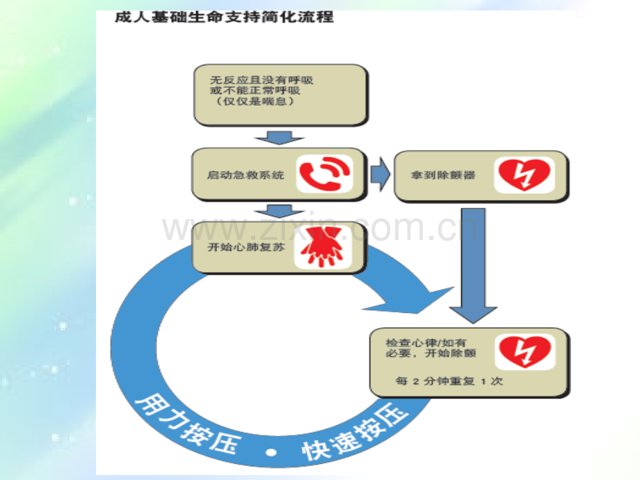 心肺复苏与人工呼吸-PPT.ppt_第2页