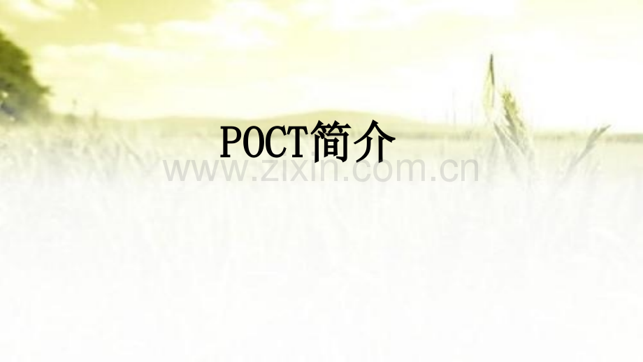 POCT介绍ppt.ppt_第1页