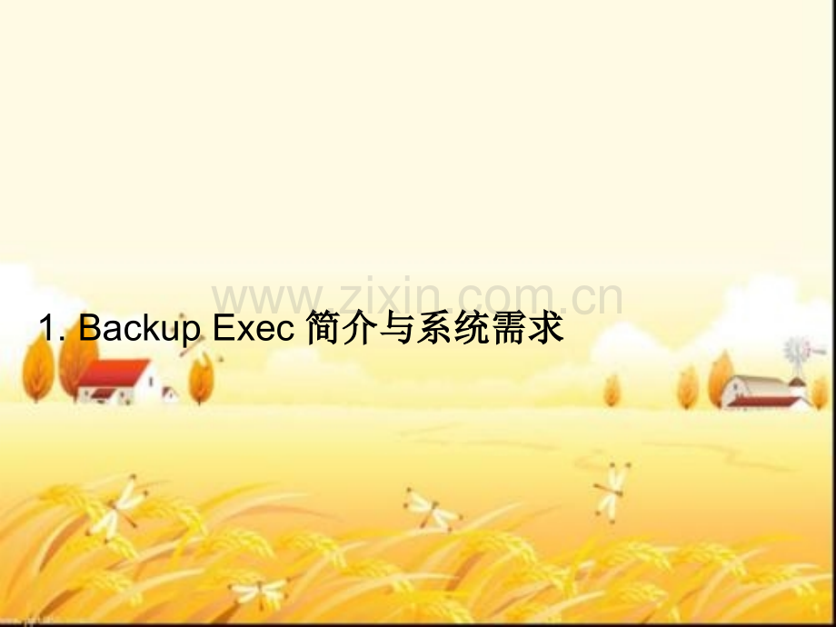 Backup-Exec简介.ppt_第3页