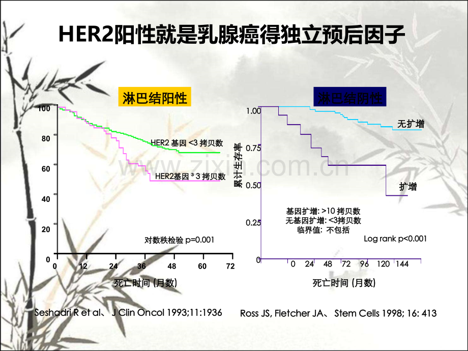 阳性乳腺癌辅助治疗.pptx_第3页