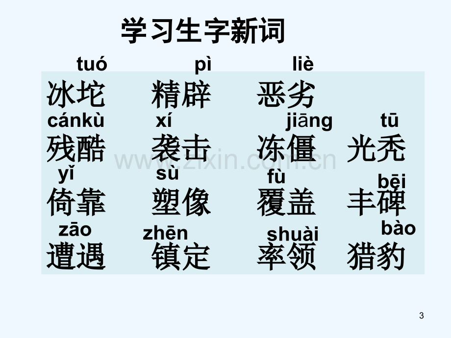 小学语文《丰碑》-PPT.ppt_第3页