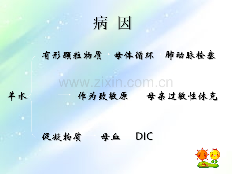 羊水栓塞ppt.ppt_第3页