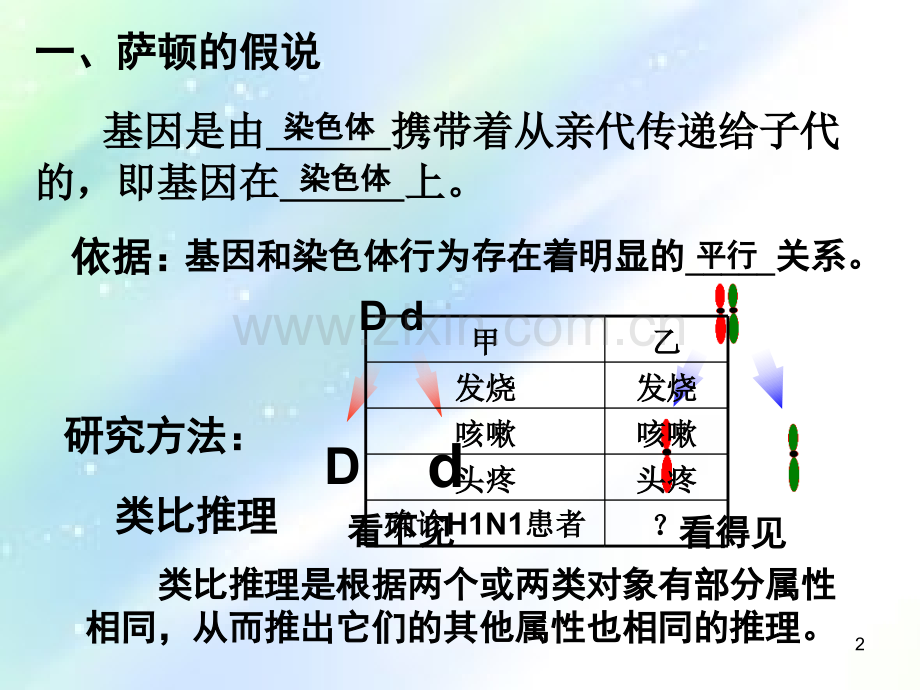 基因在染色体上(一轮复习)ppt.ppt_第2页