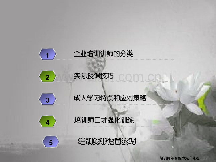 TTT——内部讲师培训-PPT.ppt_第3页